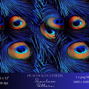 May include: A seamless pattern featuring peacock feathers in shades of blue, orange, and green. The design includes the text "PEACOCK FEATHERS Seamless Pattern" and dimensions of 12 x 12 inches, 300 dpi, and 3600 x 3600 px.