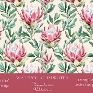 Puede incluir: Un patrón sin costuras con ilustraciones de acuarela de flores de protea rosas con hojas verdes sobre un fondo melocotón claro. El patrón mide 12 pulgadas por 12 pulgadas y 300 dpi. El archivo es un PNG de 3600 x 3600 píxeles.