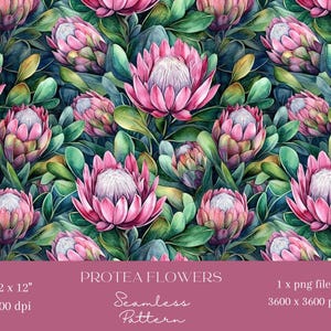 May include: A seamless pattern featuring pink and green protea flowers. The pattern is 12 inches by 12 inches and 300 dpi. The file is a 3600 x 3600 pixel png.
