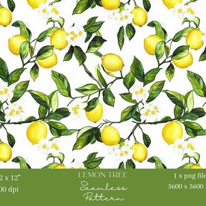 1x aquarelle citronnier motif floral agrumes papier numérique pour papier peint, fruits, papier d'emballage jaune artisanat sublimation