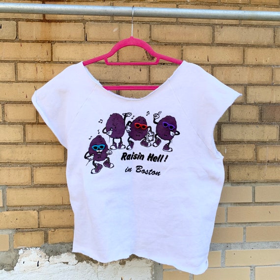Vintage 1980s Raisin Hell in Boston California Rai