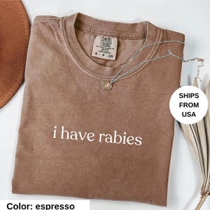 Comfort Colors® I Have Rabies Shirt, Funny Humor Shirt, Sarcasm Shirt, Unhinged Meme Shirt, Weird Dark Humor Shirt, Sarcastic Womens Tshirt