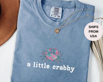 Minimalist Beach Shirt, Funny Meme Shirt, A Little Crabby, Summer Aesthetic, Oversize, Womens, Mens, Unisex Comfort Colors T-shirt