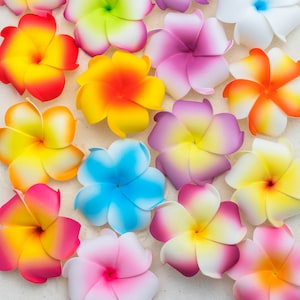 Hawaiian flower hair clips wholesale hotsell