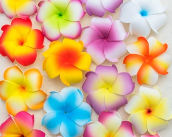 Mollette per capelli sfuse, forcine per plumeria, accessori da spiaggia da donna, regalo per lei, 6 pezzi misti