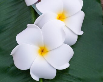 10PCS Hawaiian Plumeria Mousse Cheveux Fleur épingle à cheveux pince à cheveux Hawaïenne Femmes Cheveux 10PCS Hawaiian Plumeria Mousse Cheveux Fleur épingle à cheveux pince à cheveux Hawaïenne Femmes Cheveux