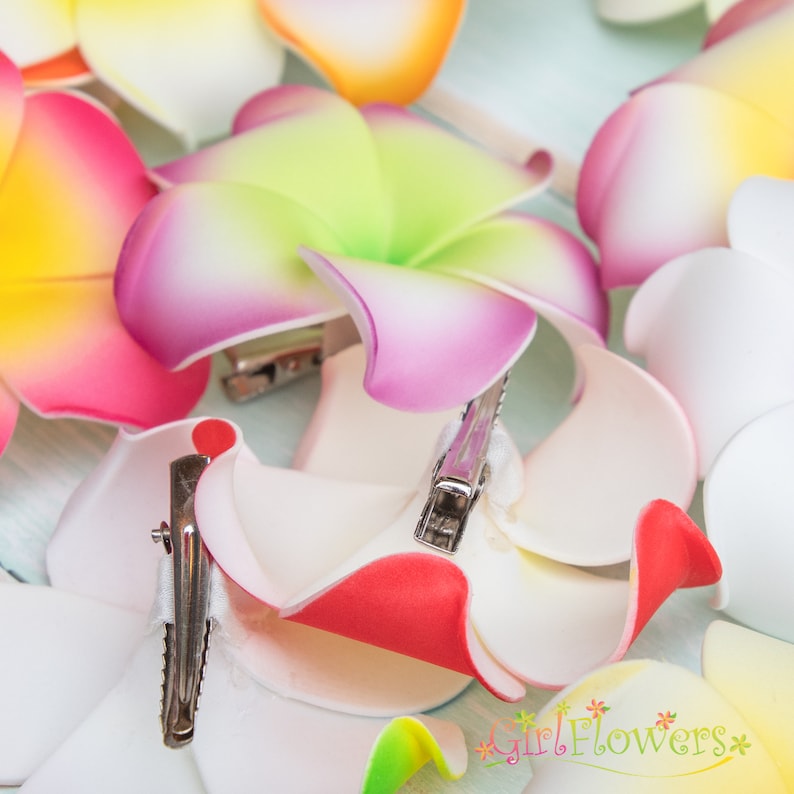 Pu&ograve; includere: Un set di fermagli per capelli a forma di fiori colorati. I fermagli sono realizzati in schiuma e hanno un design floreale realistico. I fiori sono in tonalit&agrave; di rosa, bianco, giallo e verde. I fermagli sono fissati ai fiori con fermagli metallici argentati.
