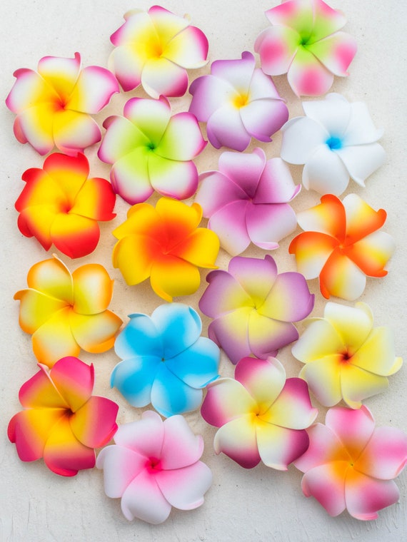 12 Plumeria Hair Clips,  Tropical Foam Flowers,  Luau Party Supplies, Beach hair Accessories - Mixed Colors