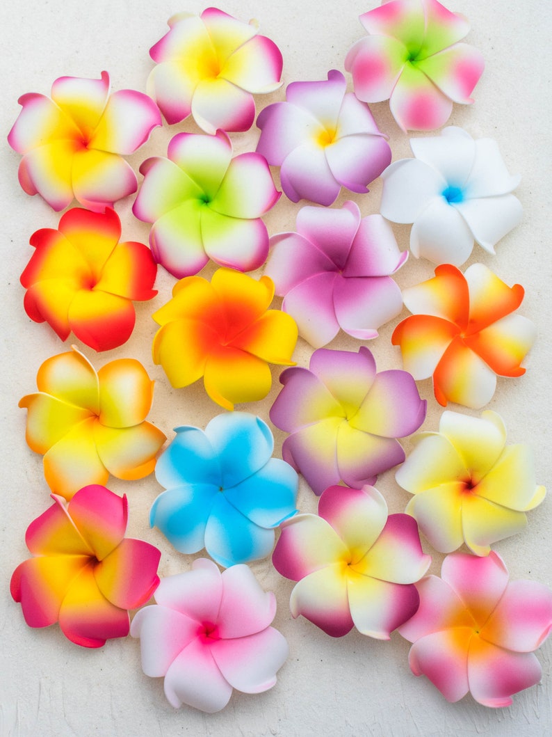 Pu&ograve; includere: Assortimento di 17 fiori di frangipane artificiali colorati. I fiori sono realizzati in schiuma e hanno un aspetto realistico. Sono perfetti per l'artigianato, la decorazione o per aggiungere un tocco tropicale a qualsiasi progetto.