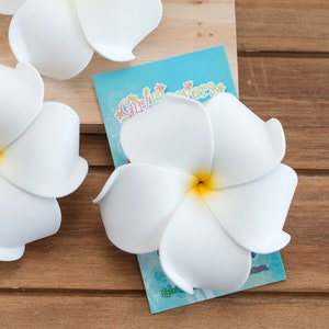 May include: Three white plumeria flowers, two on a wooden surface and one on a blue card with the text "Girl Flowers" in pink and green letters.