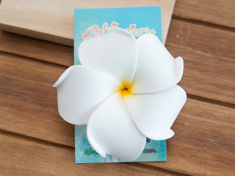 May include: White plumeria flower hair clip with a yellow center. The flower is on a blue background with the text "Give Aloha".