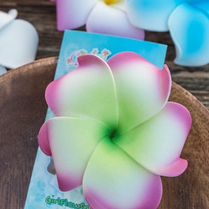Pu&ograve; includere: Un fiore di frangipane verde e rosa con un centro bianco. Il fiore &egrave; fatto di schiuma ed &egrave; una popolare decorazione per ghirlande di fiori hawaiane.