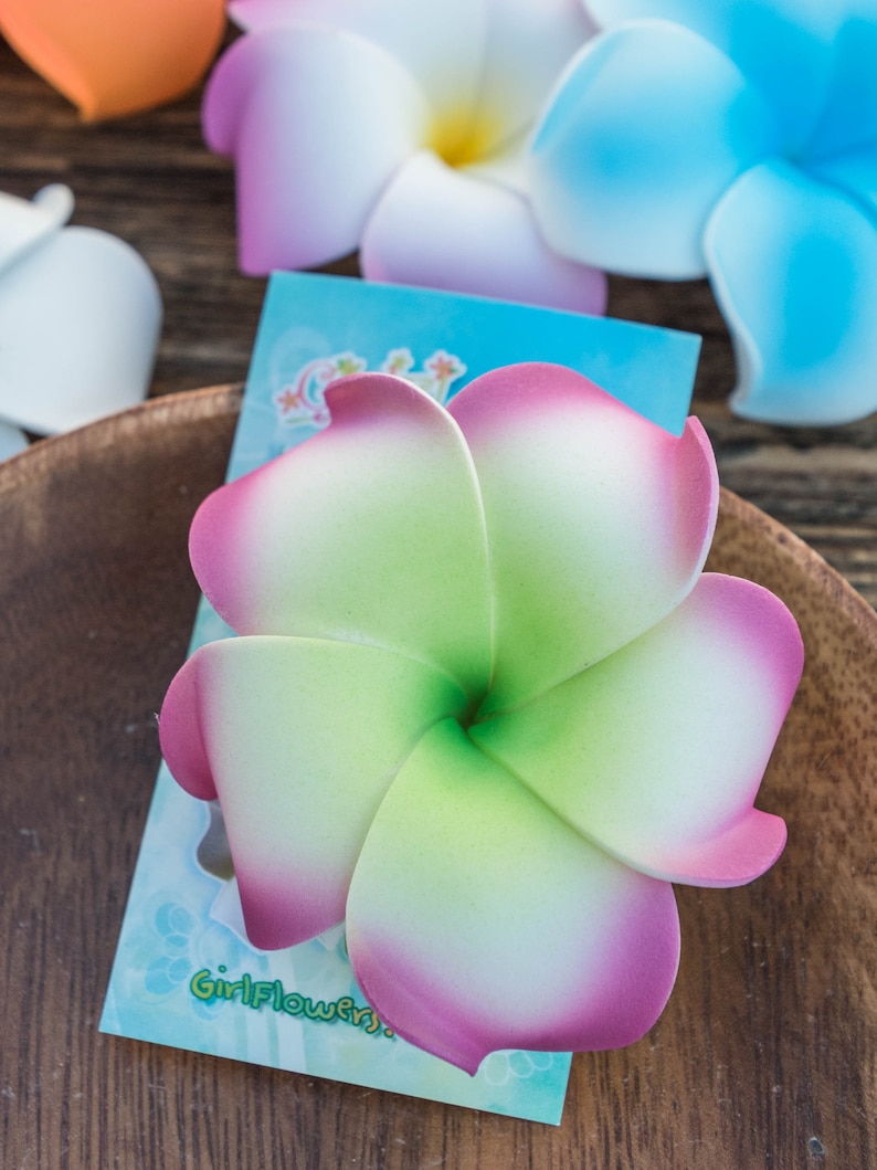 Pu&ograve; includere: Un fiore di frangipane verde e rosa con un centro bianco. Il fiore &egrave; fatto di schiuma ed &egrave; una popolare decorazione per ghirlande di fiori hawaiane.