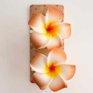 Pair of  Plumeria Hair Clips,  Earth Tone Colors, Beach Hair Accessory