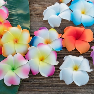 Pu&ograve; includere: Assortimento di fiori di frangipane artificiali colorati, noti anche come plumeria, disposti su una superficie di legno con una foglia verde sullo sfondo.