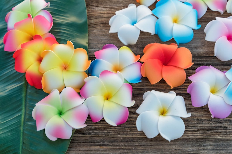 Pu&ograve; includere: Assortimento di fiori di frangipane artificiali colorati, noti anche come plumeria, disposti su una superficie di legno con una foglia verde sullo sfondo.