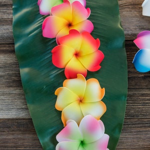 Pu&ograve; includere: Cinque fiori di frangipane artificiali colorati disposti verticalmente su una foglia verde. I fiori sono rosa, gialli, rossi, bianchi e verdi.
