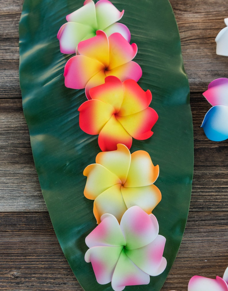 Pu&ograve; includere: Cinque fiori di frangipane artificiali colorati disposti verticalmente su una foglia verde. I fiori sono rosa, gialli, rossi, bianchi e verdi.
