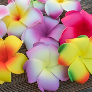 Pu&ograve; includere: Assortimento di fiori di frangipane artificiali colorati. I fiori sono realizzati in schiuma e hanno un aspetto realistico. Sono perfetti per decorare una casa o un evento.