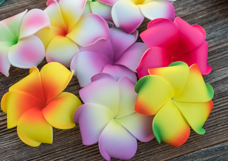 Pu&ograve; includere: Assortimento di fiori di frangipane artificiali colorati. I fiori sono realizzati in schiuma e hanno un aspetto realistico. Sono perfetti per decorare una casa o un evento.
