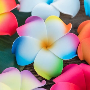 Pu&ograve; includere: Assortimento di fiori di frangipane artificiali colorati. I fiori sono realizzati in un materiale morbido e flessibile e hanno un aspetto realistico. I fiori sono disposti in un gruppo su una superficie di legno.