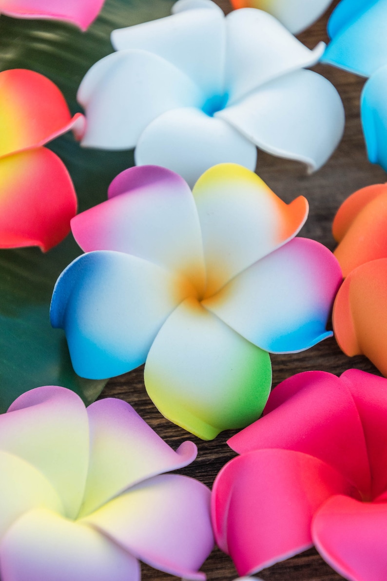 Pu&ograve; includere: Assortimento di fiori di frangipane artificiali colorati. I fiori sono realizzati in un materiale morbido e flessibile e hanno un aspetto realistico. I fiori sono disposti in un gruppo su una superficie di legno.