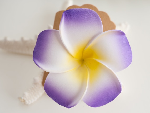 10 Haarnadeln Mit Künstlichen Tropischen Blumen – 7 Cm, Für Hochzeit, Strandparty & Haarstyling