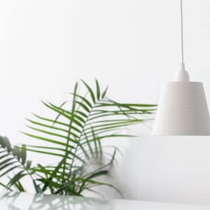 May include: A white pendant light with a ribbed shade hangs from the ceiling against a white wall. A green palm plant is in the foreground.