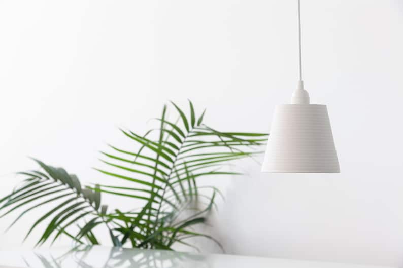 May include: A white pendant light with a ribbed shade hangs from the ceiling against a white wall. A green palm plant is in the foreground.