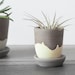 Cactus planter with yellow drips , Stoneware planter , Handmade cactus pot , Small plant pot , Succulent pot 