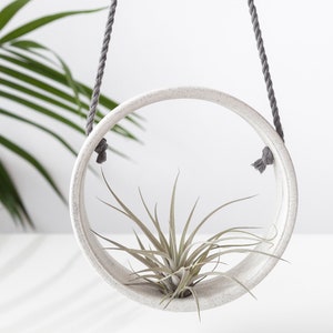 Tillandsia holder speckled ceramic , Air plant holder , Handmade ceramic planter , Small wall vase