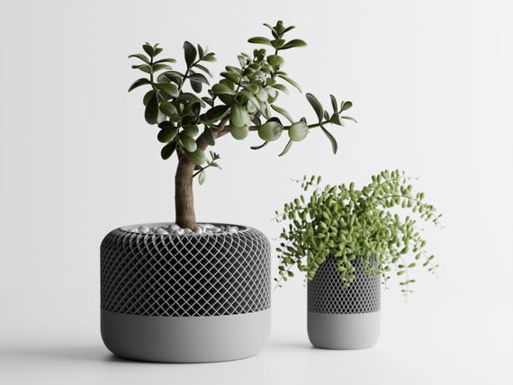 Blumentopf "Modern Apple" aus Bio PLA 3D Druck Nachhaltig Unikat Deko Wohnzimmer Dekoration Büro Nachhaltig Geschenk Frau Hochzeit