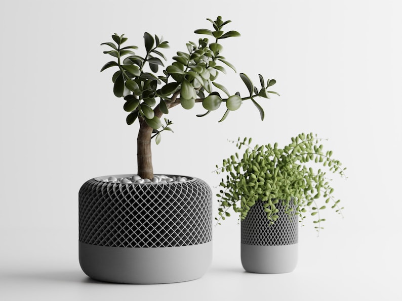 May include: Two potted plants in gray ceramic pots with a geometric pattern. The plants are a jade plant and a succulent.