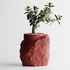 May include: A small green plant in a red, rock-shaped planter. The planter has a rough, textured surface.