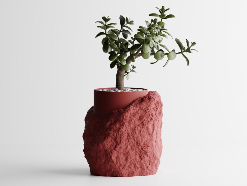 May include: A small green plant in a red, rock-shaped planter. The planter has a rough, textured surface.