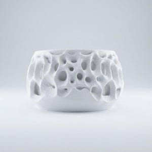 Puede incluir: Un cuenco de cerámica blanco con un diseño orgánico único. El cuenco presenta un patrón calado texturizado que recuerda a una estructura natural. La base es lisa, contrastando con la intrincada parte superior. Este cuenco decorativo es adecuado para la decoración del hogar.