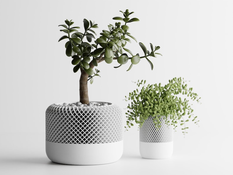 May include: Two potted plants in white ceramic pots with a geometric pattern. The plant on the left has green leaves and a brown stem. The plant on the right has light green leaves.