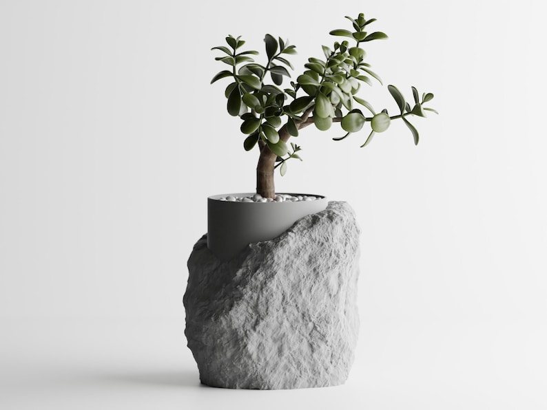 May include: A small green plant with thick leaves growing in a gray concrete pot shaped like a rock.