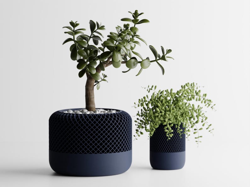 May include: Two potted plants in blue ceramic pots. The plant on the left is a jade plant with green leaves. The plant on the right is a green fern.