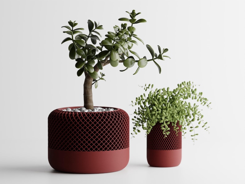 May include: Two potted plants in red ceramic pots with a geometric pattern. The plant on the left has green leaves and the plant on the right has long, thin green leaves.