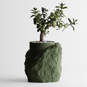 May include: A small green plant with lush leaves growing in a green pot shaped like a rock.