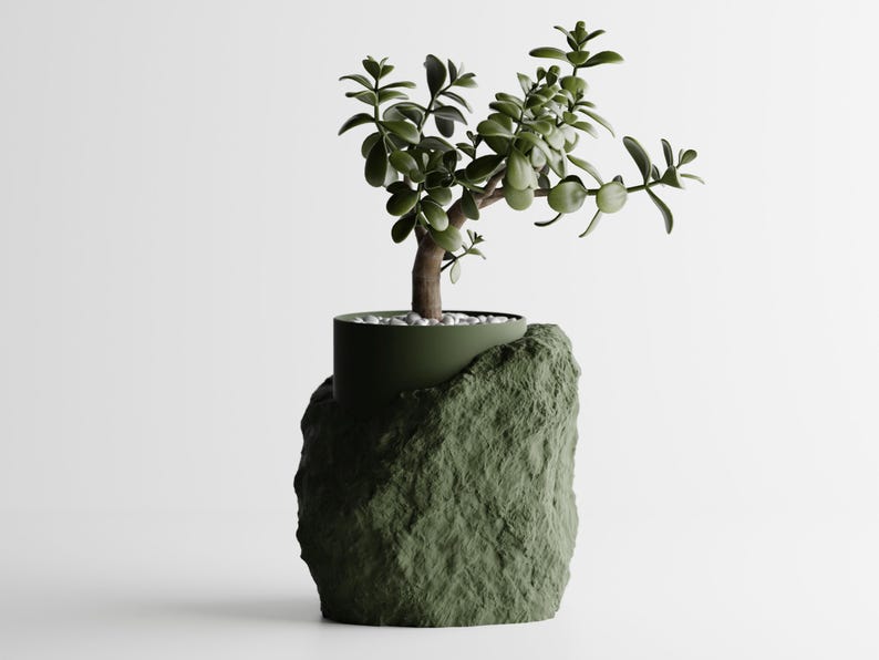 May include: A small green plant with lush leaves growing in a green pot shaped like a rock.