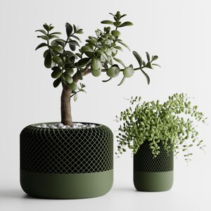 May include: Two potted plants in green ceramic pots. The plant on the left has green leaves and a brown stem. The plant on the right has light green leaves. Both plants are on a white surface.