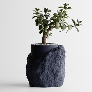 May include: A small green plant with a thick trunk grows in a black pot shaped like a rock. The pot is made of a textured material that resembles a rock.