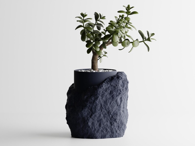 May include: A small green plant with a thick trunk grows in a black pot shaped like a rock. The pot is made of a textured material that resembles a rock.