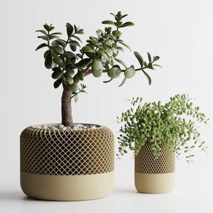 May include: Two potted plants in beige ceramic pots with a geometric pattern. The plant on the left has green leaves and a brown stem. The plant on the right has light green leaves.