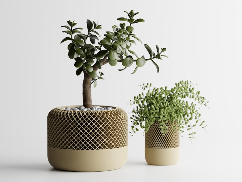 May include: Two potted plants in beige ceramic pots with a geometric pattern. The plant on the left has green leaves and a brown stem. The plant on the right has light green leaves.