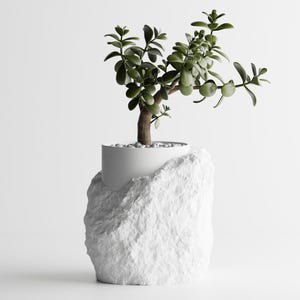 May include: A small green plant with thick leaves growing in a white ceramic pot. The pot is sitting on a white rock-shaped planter.