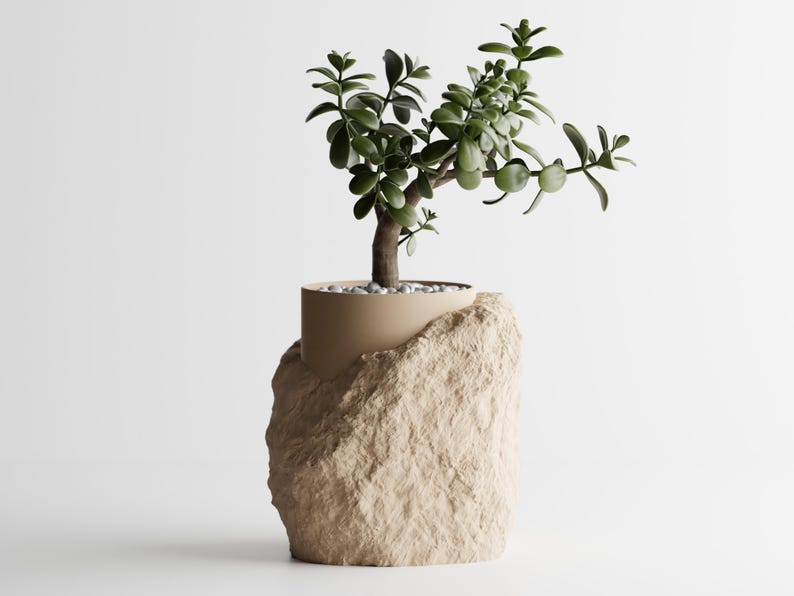 May include: A small green plant with thick leaves growing in a beige pot. The pot is nestled in a large, rough, beige rock-shaped planter.