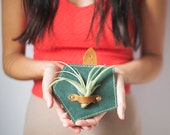 Wall Air Plant Holder - Air Plant Hanger - Air Plants - Air Plant Display - Air Plant Holder - Tillandsia - Wall Mounted Air Plant